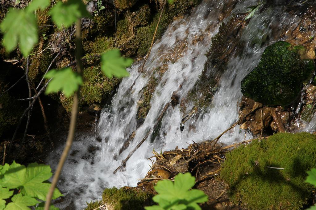 Готель Luisenhof Geisfeld  Екстер'єр фото