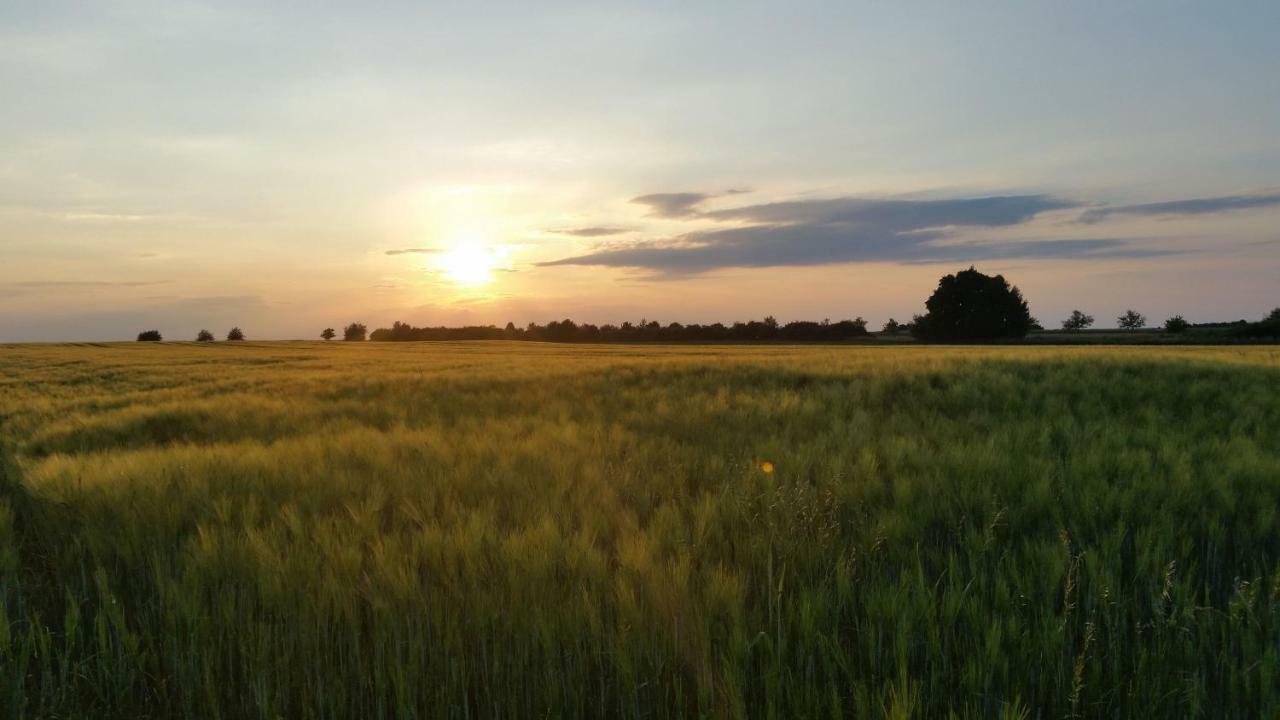 Готель Luisenhof Geisfeld  Екстер'єр фото